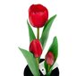 Dirbtinės tulpės vazonėlyje, raudonos kaina ir informacija | Interjero detalės | pigu.lt