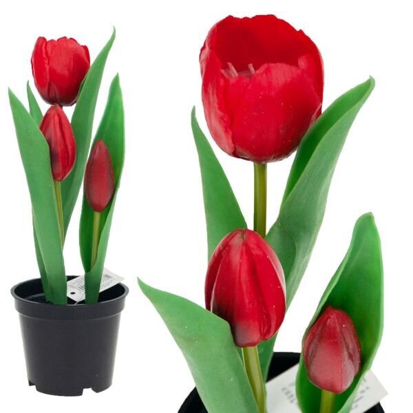Dirbtinės tulpės vazonėlyje, raudonos kaina ir informacija | Interjero detalės | pigu.lt
