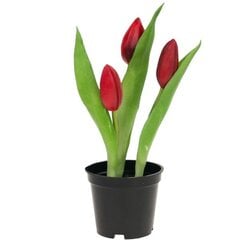 Искусственные тюльпаны в горшке, красные цена и информация | Детали интерьера | pigu.lt