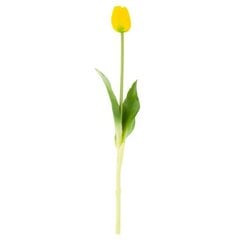 Искусственный тюльпан, желтый цена и информация | Детали интерьера | pigu.lt
