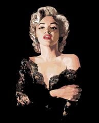 Tapyba pagal skaičius Z-Z3349G Marilyn Monroe, 40x50 kaina ir informacija | Tapyba pagal skaičius | pigu.lt