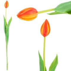 Искусственный тюльпан, оранжевый цена и информация | Детали интерьера | pigu.lt