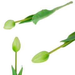 Искусственный тюльпан, зеленый цена и информация | Детали интерьера | pigu.lt