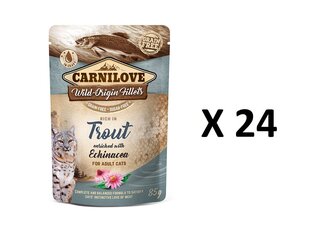 Carnilove konservai katėms su upėtakiu ir ežiuolėmis 24 X85g kaina ir informacija | Konservai katėms | pigu.lt