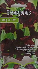 Цветочный горошек Beaujolais, 2 шт. цена и информация | Семена цветов | pigu.lt