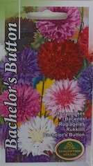Rugiagėlės Bachelor's Button, 2 vnt kaina ir informacija | Gėlių sėklos | pigu.lt