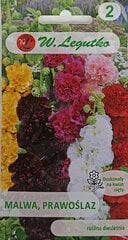 Шток-роза, смешанный, 2 шт. цена и информация | Семена цветов | pigu.lt