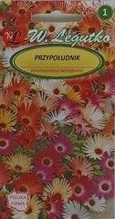 Доротеантус маргариткоцветковый, 2 шт. цена и информация | Семена цветов | pigu.lt