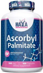 Maisto papildas Haya Labs Ascorbyl Palmitate Askorbilo palmitatas, 100 vnt. kaina ir informacija | Vitaminai, maisto papildai, preparatai gerai savijautai | pigu.lt