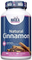Натуральная корица Haya Labs, 500 мг, 60 капсул цена и информация | Витамины, пищевые добавки, препараты для хорошего самочувствия | pigu.lt