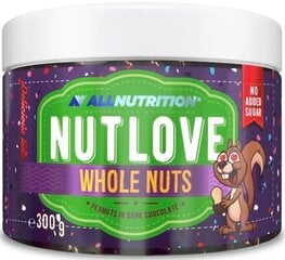 Арахис в темном шоколаде AllNutrition Nutlove Whole Nuts, 300 г  цена и информация | Сладости | pigu.lt