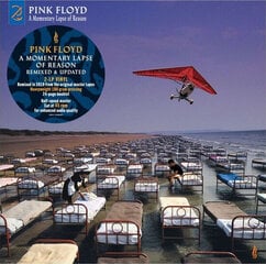 Pink Floyd - A Momentary Lapse Of Reason (Remixed & Updated), 2LP, vinilo plokštės, 12" vinyl record kaina ir informacija | Vinilinės plokštelės, CD, DVD | pigu.lt