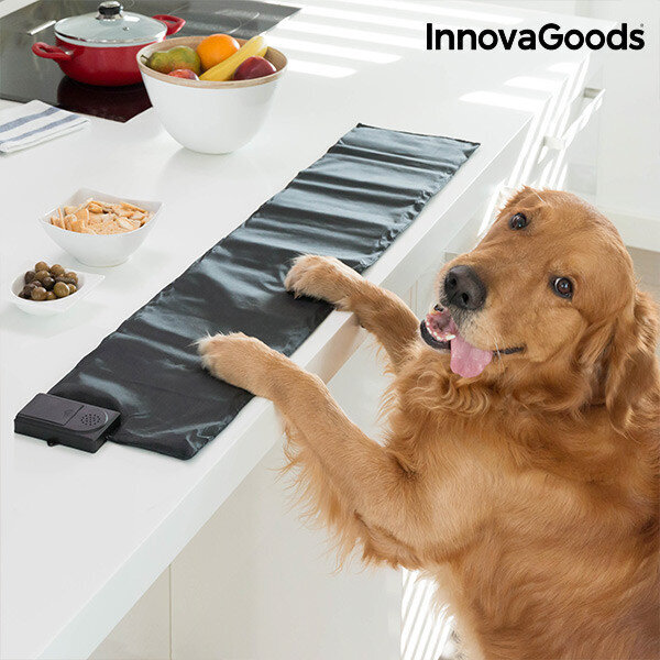 InnovaGoods naminių gyvūnų dresavimo kilimėlis kaina ir informacija | Guoliai, pagalvėlės | pigu.lt