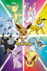 Pokemon Eevee Evolution, 61x91,5 cm kaina ir informacija | Žaidėjų atributika | pigu.lt