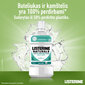 Burnos skalavimo skystis Listerine Naturals Teeth Protection 500 ml kaina ir informacija | Dantų šepetėliai, pastos | pigu.lt