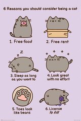 Plakatas Pusheen Reasons to be a Cat, 61x91,5 cm kaina ir informacija | Reprodukcijos, paveikslai | pigu.lt