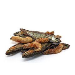 Prodac Tartafood Mix žuvytės ir krevetės vėžliukams, 1200ml, 200g. kaina ir informacija | Maistas egzotiniams gyvūnams | pigu.lt
