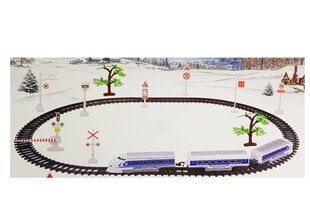 Traukinys su trasa "Express Train" kaina ir informacija | Žaislai berniukams | pigu.lt