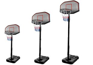 Reguliuojamas krepšinio lankas, 200-300cm kaina ir informacija | Žaislai berniukams | pigu.lt
