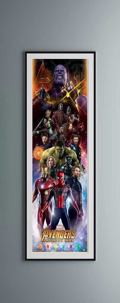 Plakatas Avengers Infinity War Heroes, 53x158 cm цена и информация | Reprodukcijos, paveikslai | pigu.lt