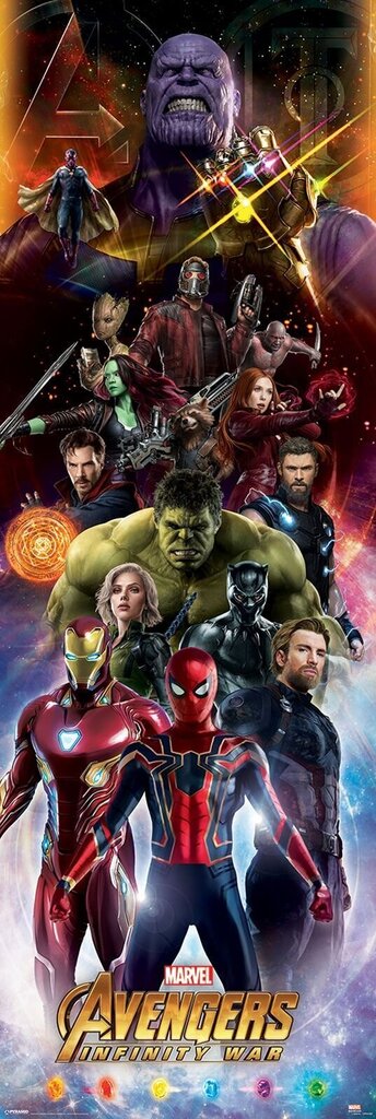 Plakatas Avengers Infinity War Heroes, 53x158 cm цена и информация | Reprodukcijos, paveikslai | pigu.lt