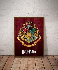 Harry Potter, 61x91,5 cm kaina ir informacija | Žaidėjų atributika | pigu.lt