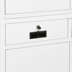 Biuro spintelė, baltos spalvos, 90x40x180cm, plienas цена и информация | Шкафчики в гостиную | pigu.lt