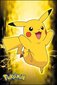 Pokemon Pikachu Lightning, 61x91,5 cm kaina ir informacija | Žaidėjų atributika | pigu.lt