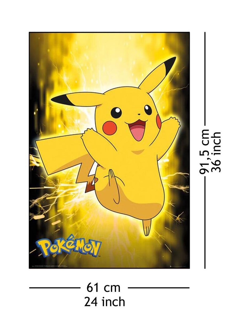 Pokemon Pikachu Lightning, 61x91,5 cm kaina ir informacija | Žaidėjų atributika | pigu.lt