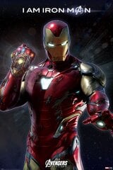 Plakatas Avengers Endgame Iron man, 61x91,5 cm kaina ir informacija | Reprodukcijos, paveikslai | pigu.lt