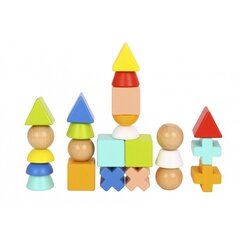 Деревянные кубики различной формы Tooky Toy цена и информация | Развивающие игрушки | pigu.lt