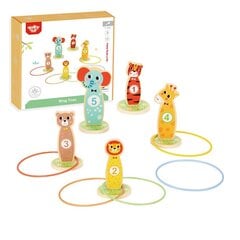 Medinis žiedų mėtymo žaidimas Tooky Toy kaina ir informacija | Lavinamieji žaislai | pigu.lt