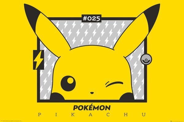 Pokemon Pikachu, 91,5x61 cm kaina ir informacija | Žaidėjų atributika | pigu.lt