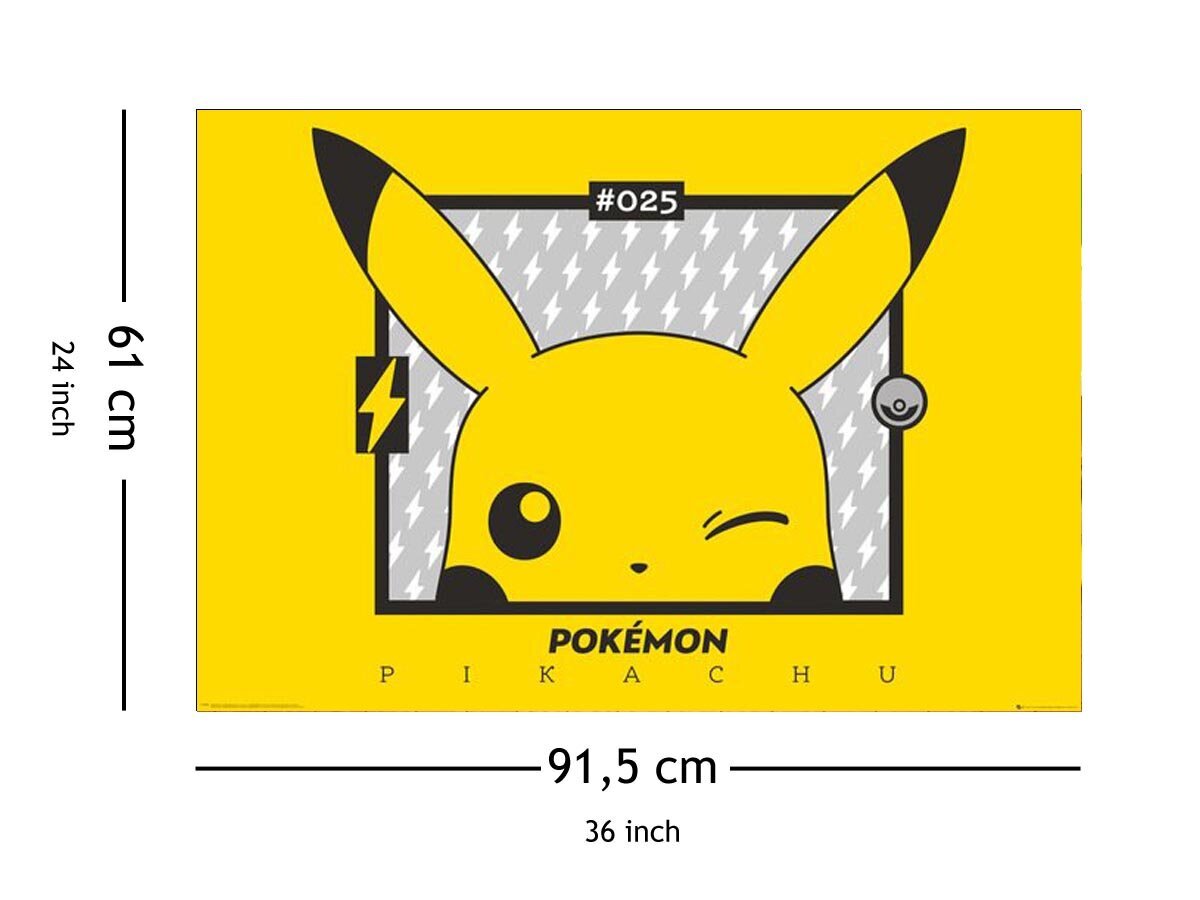 Pokemon Pikachu, 91,5x61 cm kaina ir informacija | Žaidėjų atributika | pigu.lt