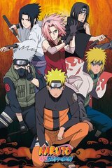 Naruto Shippuden, 61x91,5 cm kaina ir informacija | Žaidėjų atributika | pigu.lt