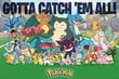 Reprodukcija Pokemons Catch Them All kaina ir informacija | Reprodukcijos, paveikslai | pigu.lt