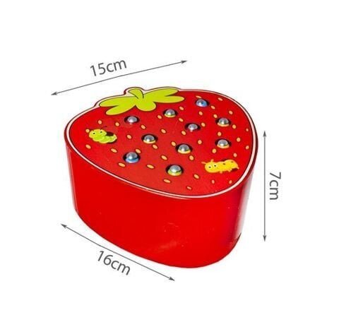 Magnetinis žaidimas „Pagauk kirminą“ kaina ir informacija | Lavinamieji žaislai | pigu.lt