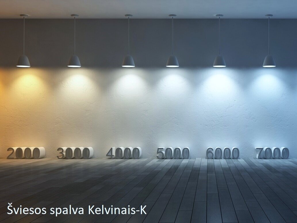 LED lemputės G.LUX GR-LED-A60-P-8W 3000K, 10 vnt pakuotė kaina ir informacija | Elektros lemputės | pigu.lt