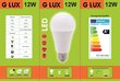 LED lemputės G.LUX GR-LED-A60-12W 3000K, 10 vnt pakuotė kaina ir informacija | Elektros lemputės | pigu.lt