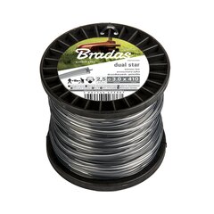 Trimerio valas Bradas RIPPER DUAL Star, 2,0mm x 100m kaina ir informacija | Sodo technikos dalys | pigu.lt