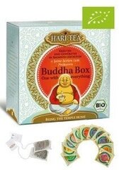 Prekė su pažeista pakuote. Budda arbata dėžutėje (ekologiška) Buddha Box 22g kaina ir informacija | Smulki buitinė technika su paž. pakuotėmis | pigu.lt
