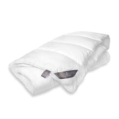 FAM' HOME 200x200 см универсальное одеяло Moonlight Cosiness цена и информация | Одеяла | pigu.lt