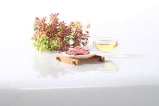 Зеленый чай с жасмином Hazo - Blooming Tea. Зеленый чай. 100 г (металл) цена и информация | Чай | pigu.lt