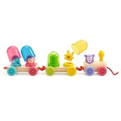 Деревянный поезд - Радужный поезд, DJECO DJ06326 цена и информация | Игрушки для малышей | pigu.lt