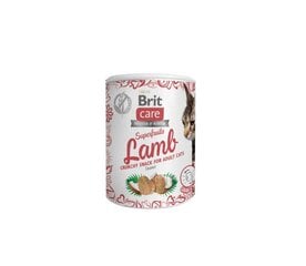 Brit Care Cat Snack SuperFruits Lamb skanėstai katėms 100g kaina ir informacija | Brit Care Katėms | pigu.lt