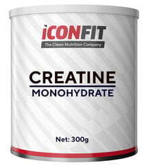 Пищевая добавка Iconfit Micronized Creatine 300 г (моногидрат креатина) цена и информация | Энергетики | pigu.lt