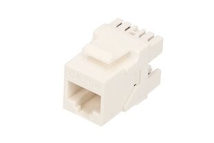 Extralink RJ45, 1 vnt kaina ir informacija | Kabeliai ir laidai | pigu.lt