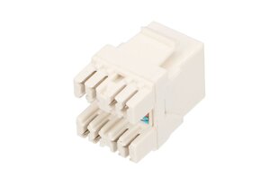 Extralink RJ45, 1 vnt kaina ir informacija | Kabeliai ir laidai | pigu.lt