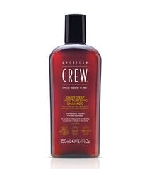 Drėkinantis plaukų šampūnas American Crew Daily Deep, 250 ml kaina ir informacija | Šampūnai | pigu.lt