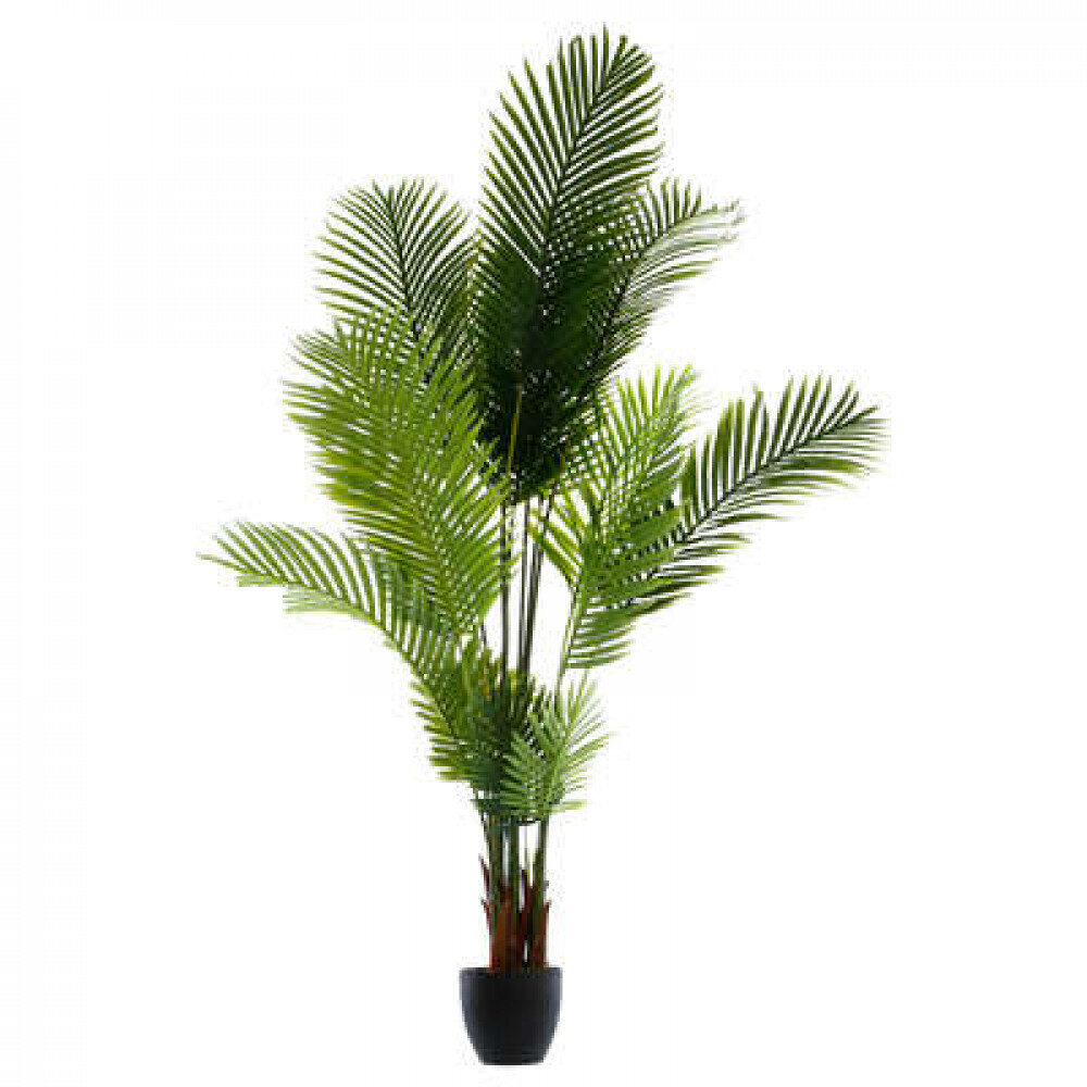 Dirbtinė palmė, 170 cm цена и информация | Dirbtinės gėlės | pigu.lt